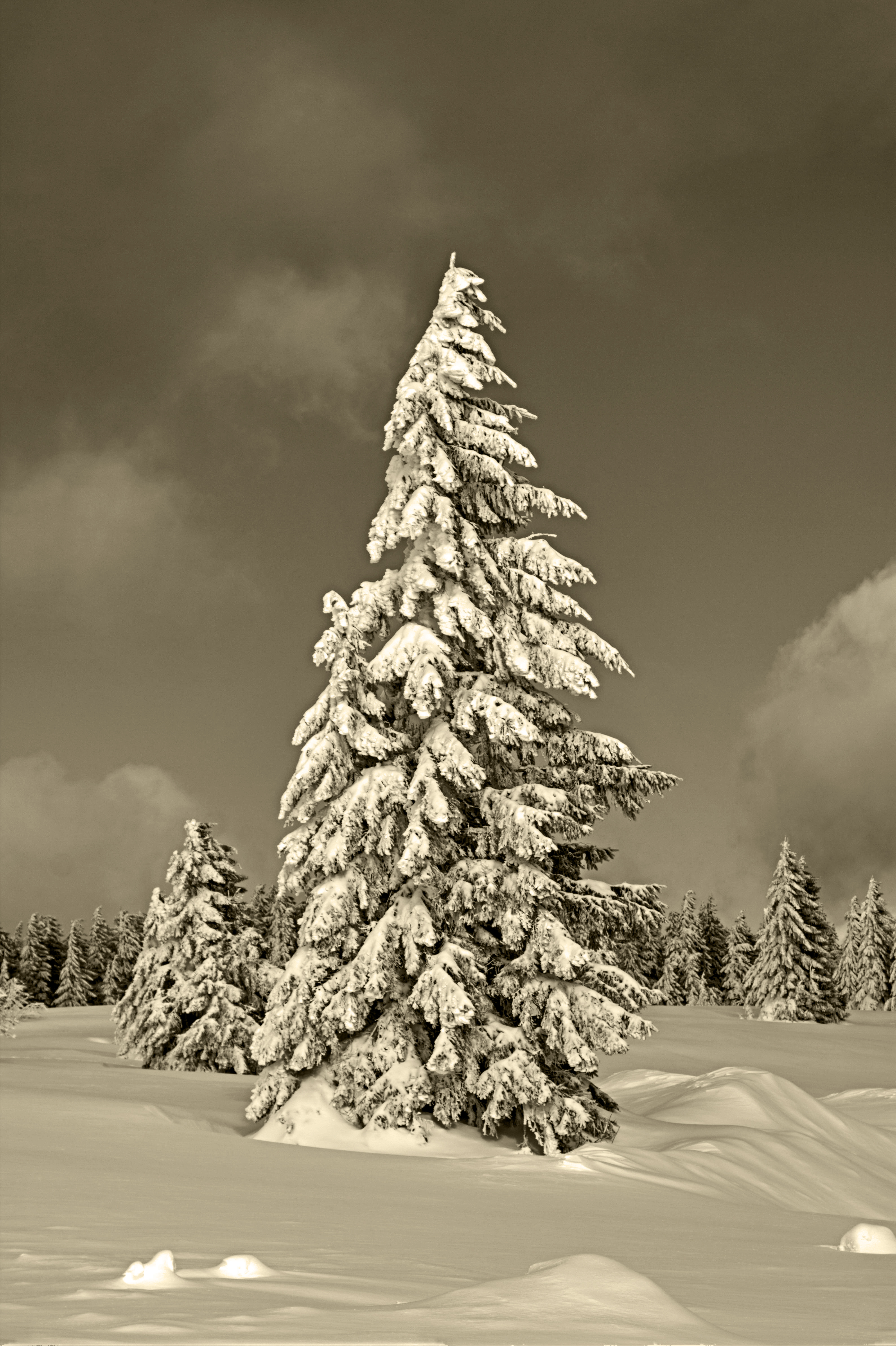 Winterberg